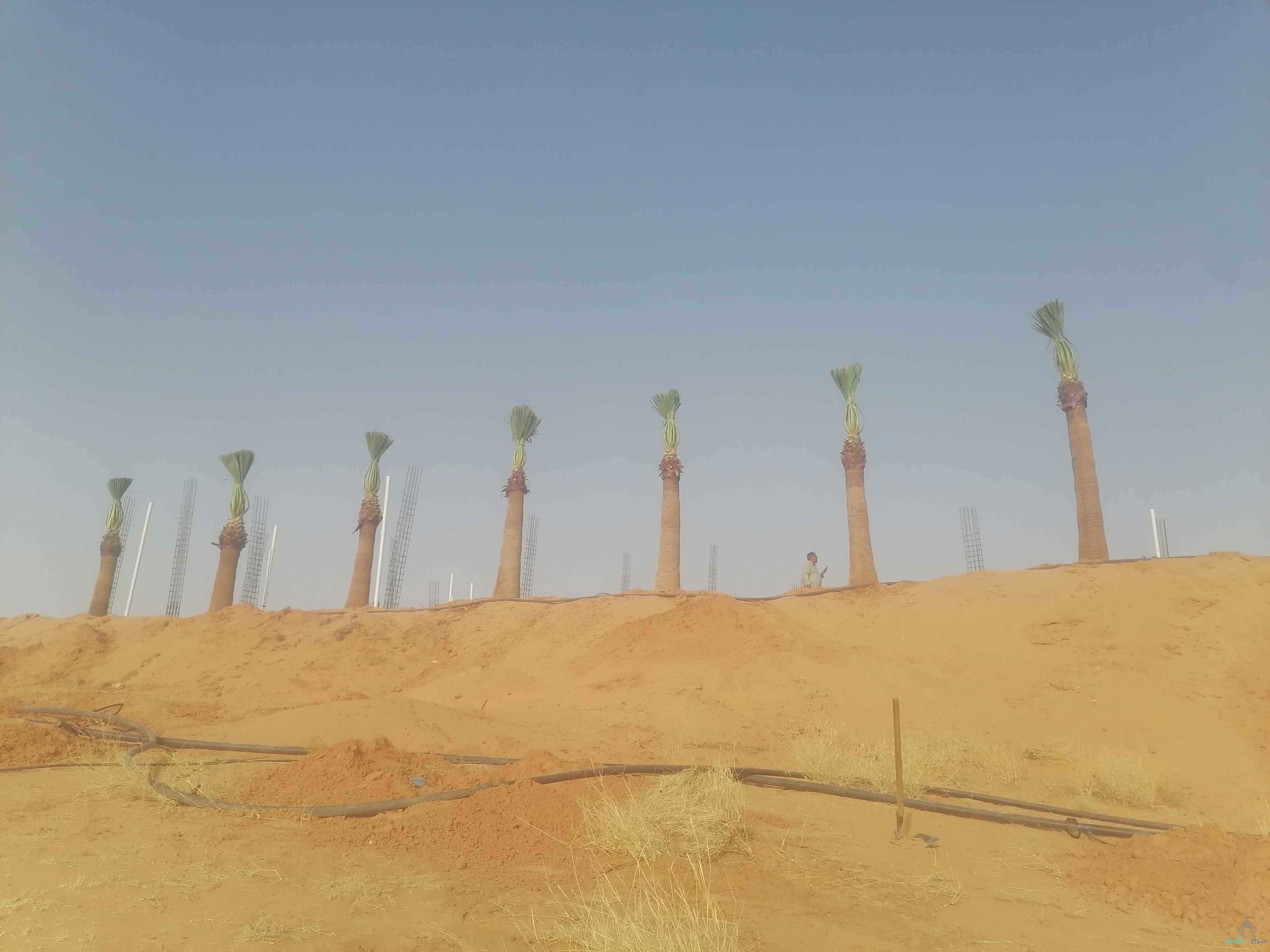 المقالات العامه 