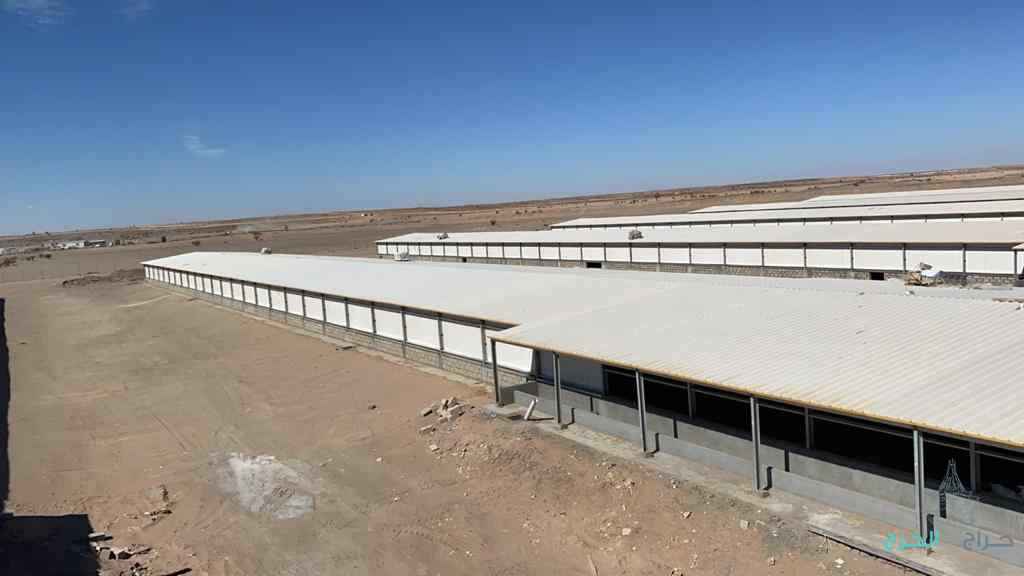 غرف سندويش بنل اسقف سندويش بنل غرف العاملات بنل 