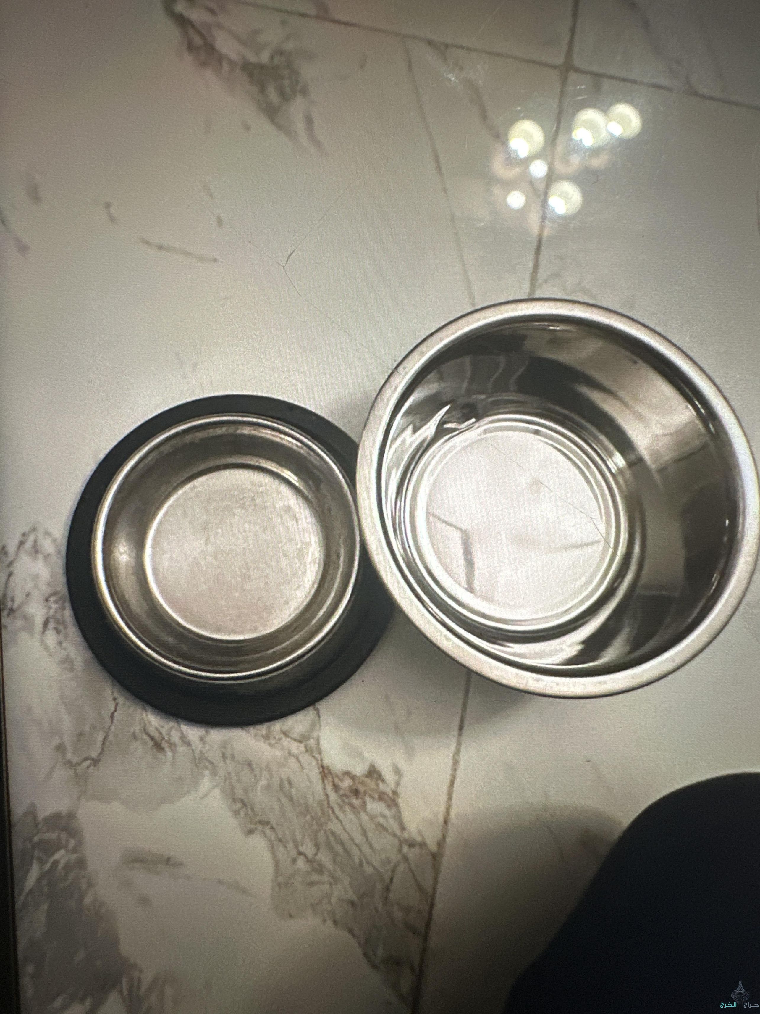 مستلزنات القطط