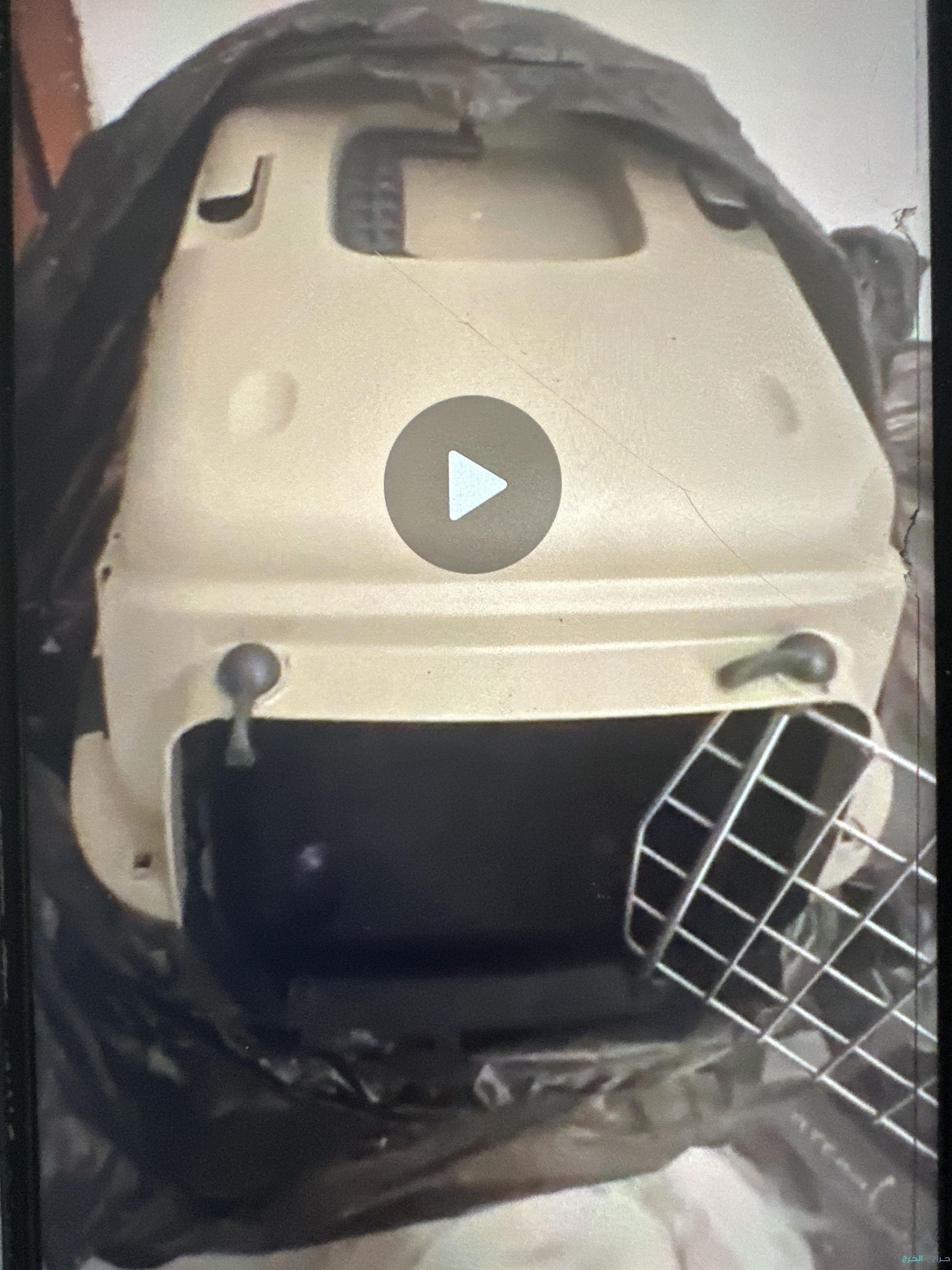 مستلزنات القطط