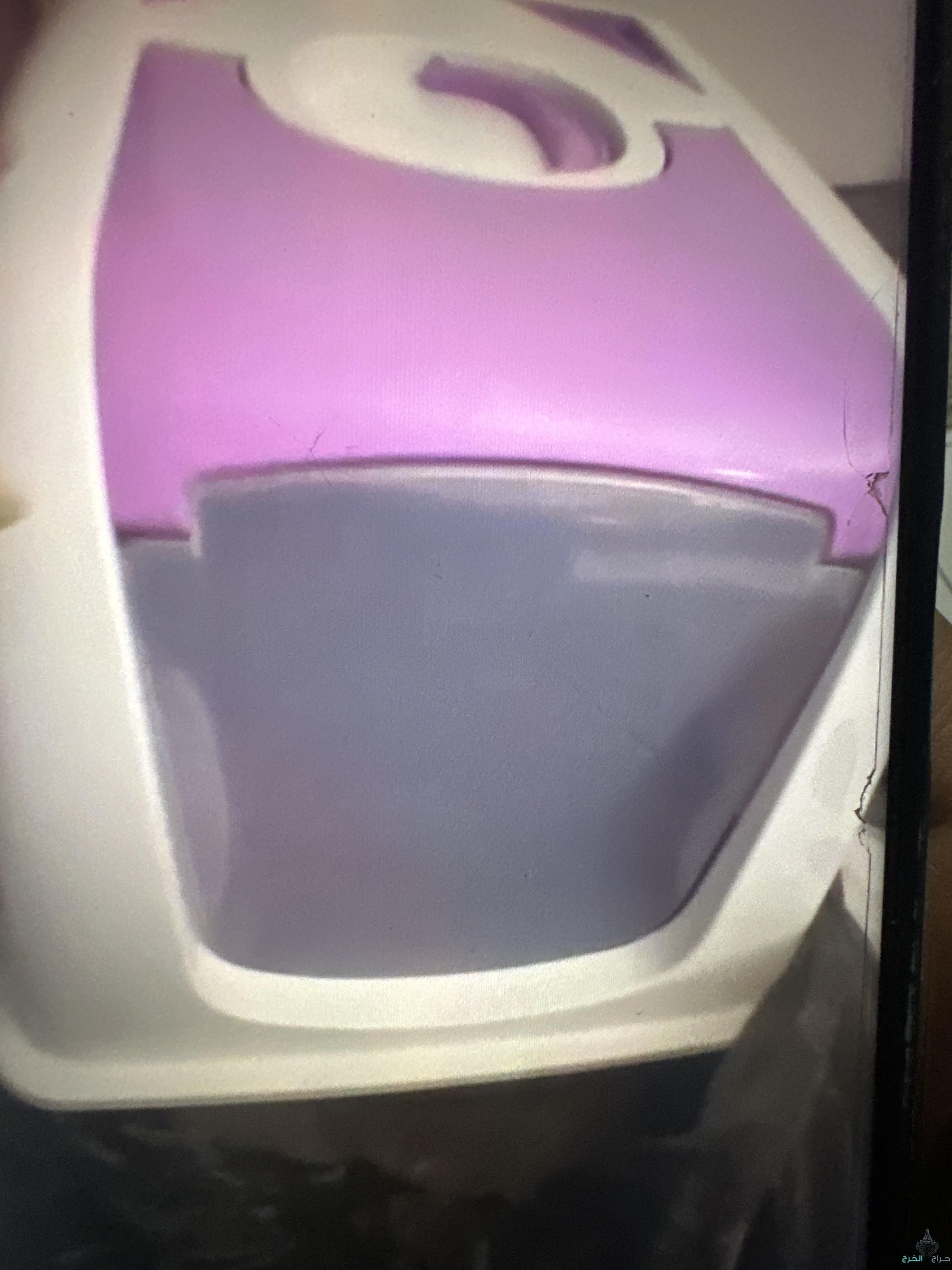 مستلزنات القطط