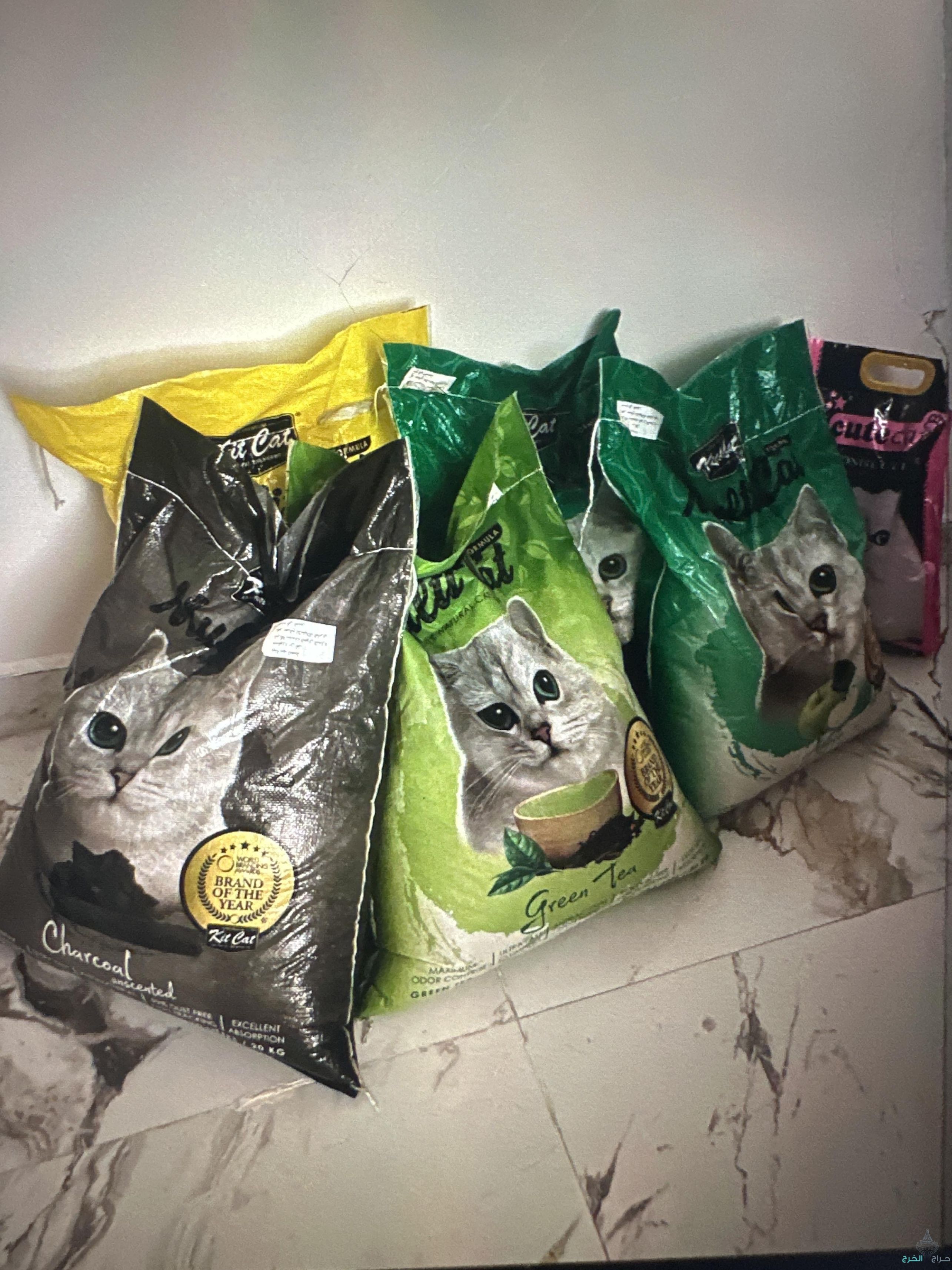 مستلزنات القطط