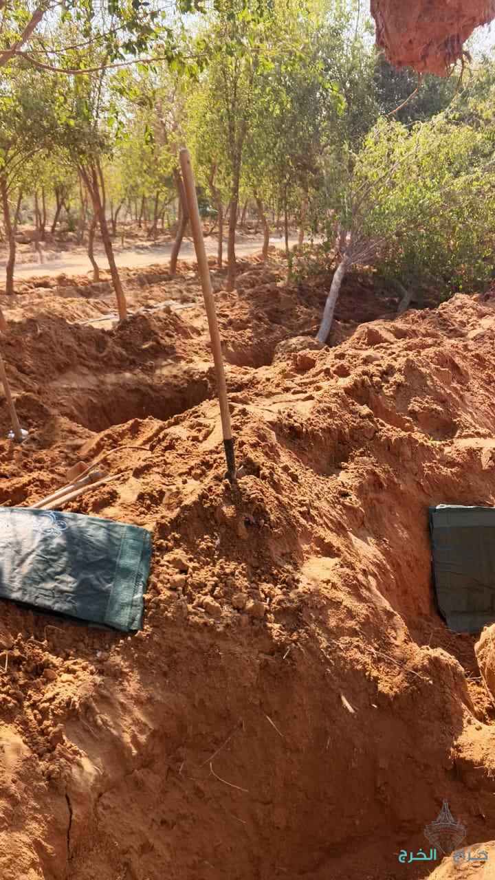 نقوم بتفطيم وقلع جميع الأشجار وتوريد انخيل لتواصل 