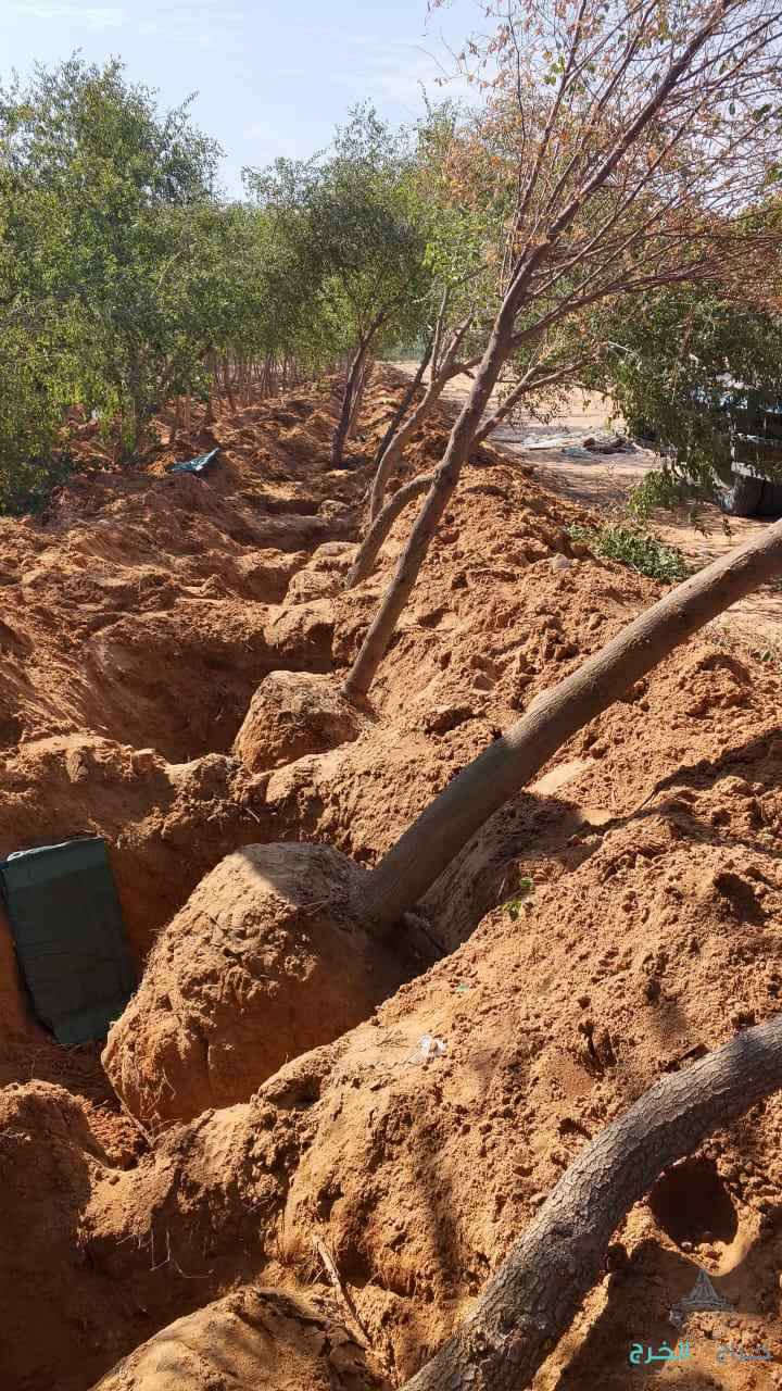 نقوم بتفطيم وقلع جميع الأشجار وتوريد انخيل لتواصل 