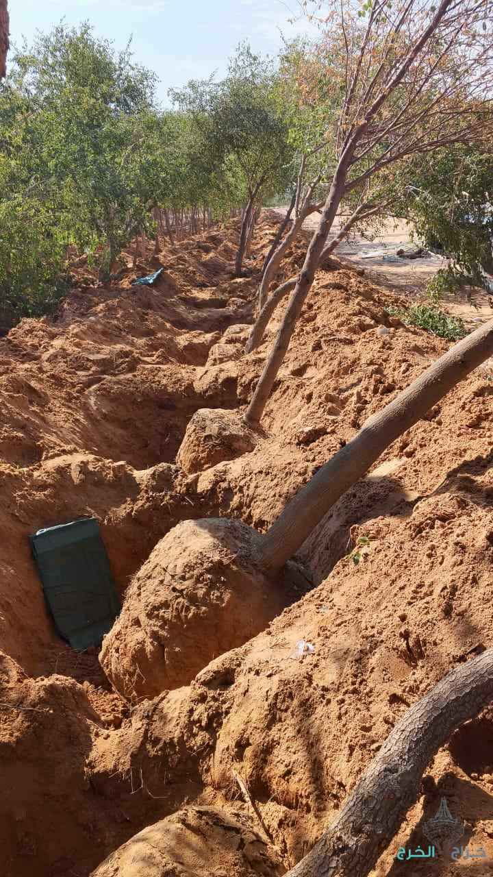 نقوم بتفطيم وقلع جميع الأشجار وتوريد انخيل لتواصل 