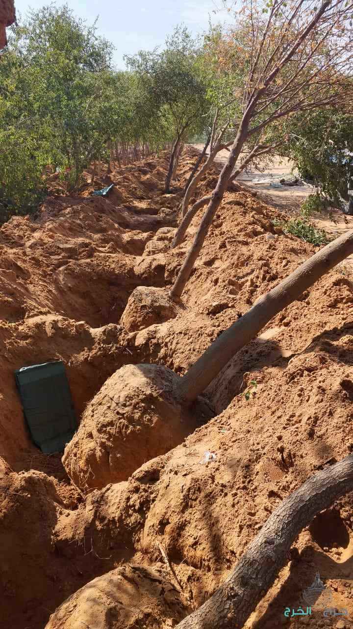 نقوم بتفطيم وقلع جميع الأشجار وتوريد انخيل لتواصل 