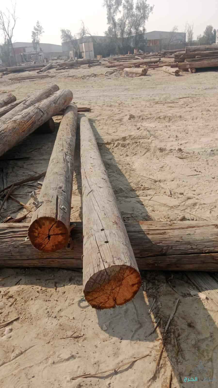 للبيع اعمده خشب الصنوبر الكهرباء القديمه اطوال مختلفه من 3.5 الى 12 متر البيع جمله مختلفالمقاسات ومقاولات شبوك