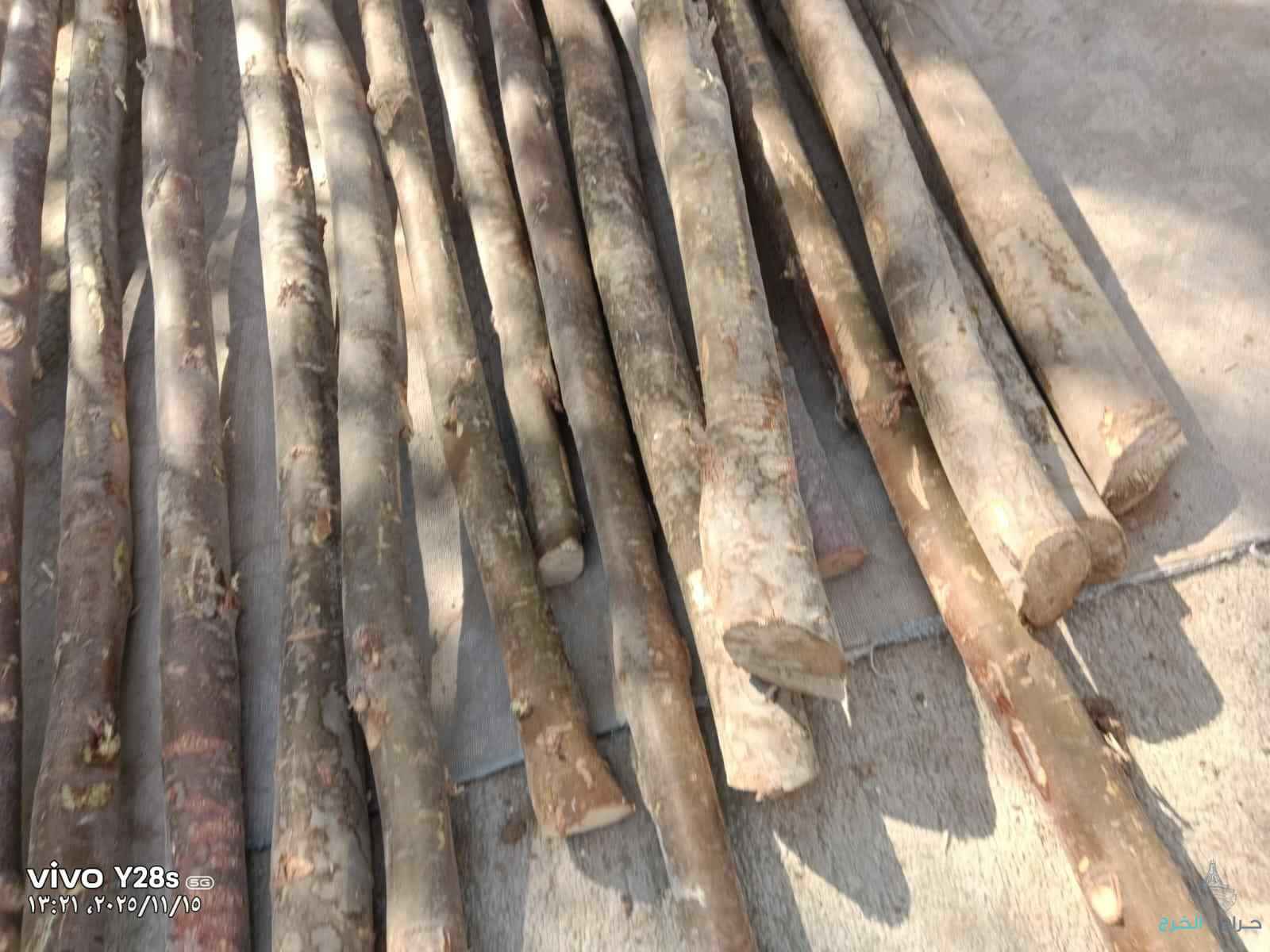 للبيع اعمده خشب الصنوبر الكهرباء القديمه اطوال مختلفه من 3.5 الى 12 متر البيع جمله مختلفالمقاسات ومقاولات شبوك
