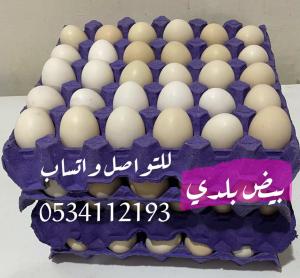 بيض بلدي 