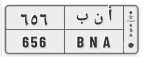 لوحه خصوصي مميزه للبيع 