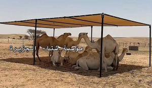 انواع المضلات