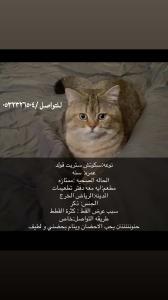 الخرج