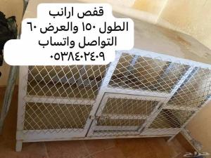 قفص ارنب