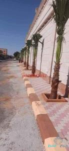 معلم اشغال النخل والاشجارقلع نقل تكريب تشذيب قص جريدتلقيح تعديل 