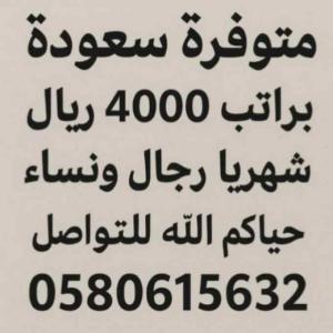 وظائف بتامينات وبدون تاميناتللتواصل وتساب0580615632