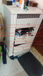 التخلص والطش بالرياض 