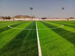 معلم انجيلا صناعي ملاغب كوره خدايق تركيب خشب صناعي ديكورات 