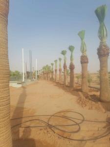 المقالات العامه 