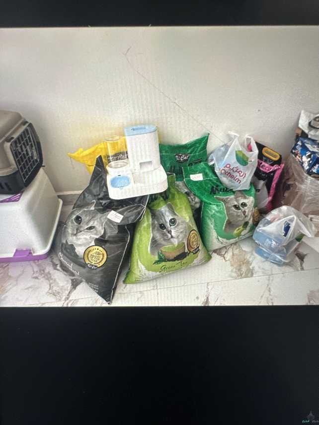 مستلزنات القطط