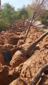 نقوم بتفطيم وقلع جميع الأشجار وتوريد انخيل لتواصل 